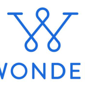 🕵 AskWonder – Investigador online