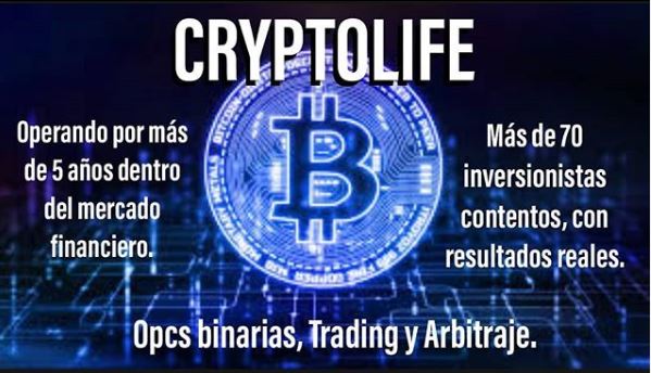 cryptolife6 - 📝 Entrevista al creador de Cryptolife-B