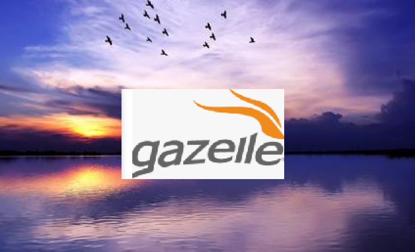 gazelle portada