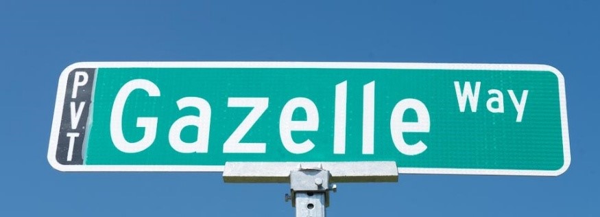 gazelle way - 📱 Gazelle - Compra venta de teléfonos usados