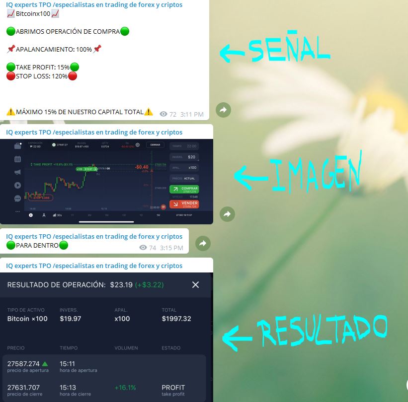 iq senales - Canal de trading en Telegram IQ experts forex y cripto con IQ Option