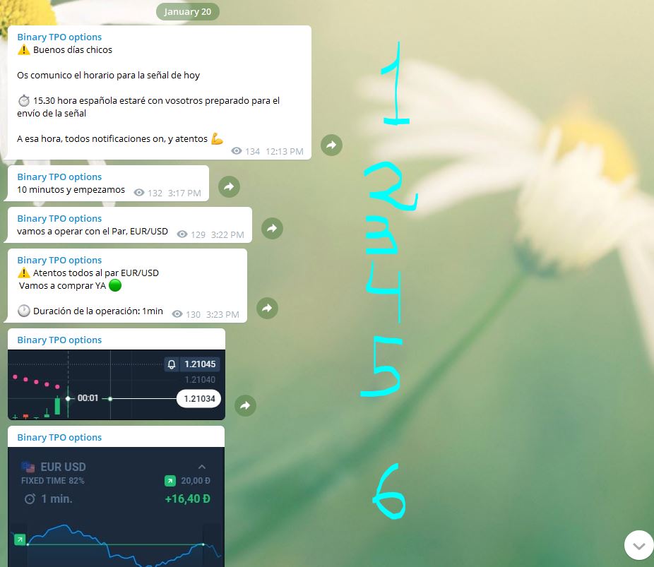 binary tpo senal 1 - Binary TPO - El mejor canal de Telegram de opciones binarias