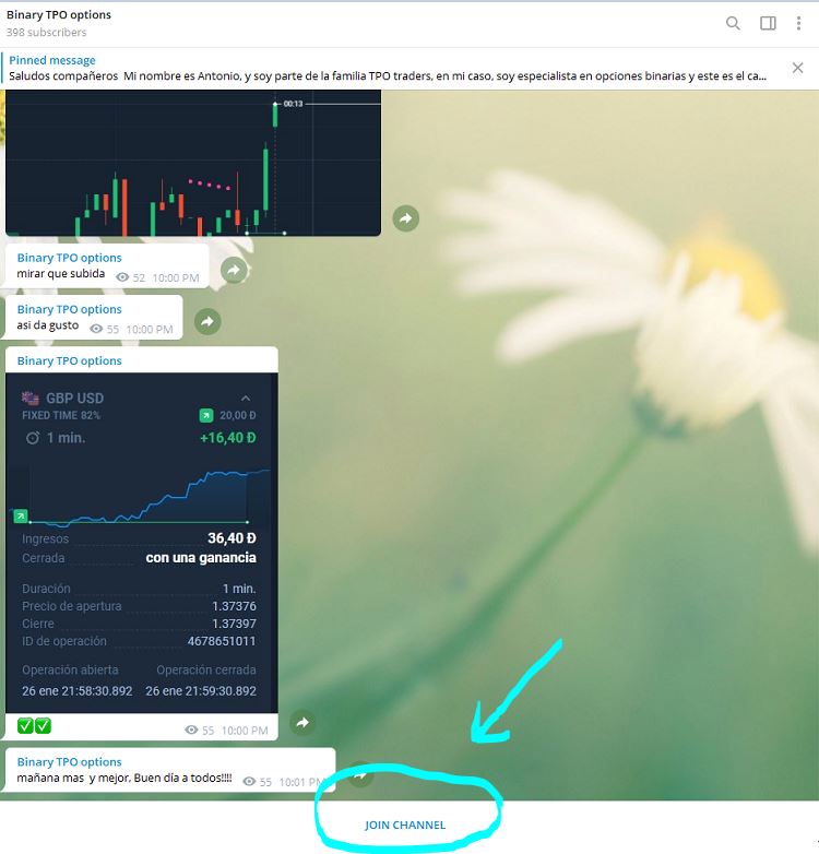 binary tpo unirte al canal - Binary TPO - El mejor canal de Telegram de opciones binarias