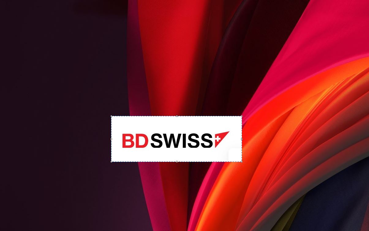 bdswiss portada