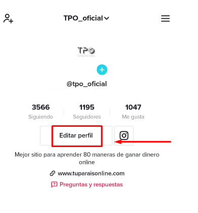 Editar Perfil - 🚀 TikTok: Gana Dinero con Redes Sociales en 2022