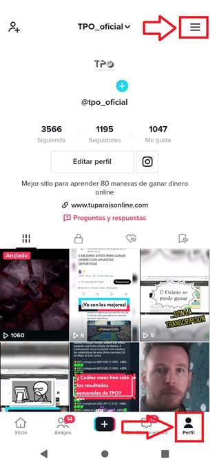 Perfil... - 🚀 TikTok: Gana Dinero con Redes Sociales en 2022