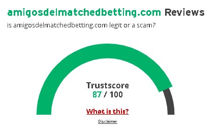 AMB ScamAdviser - 🏆 Matched Betting: 3 Mejores Páginas ¿Es Posible Ganar 300 € al Mes?