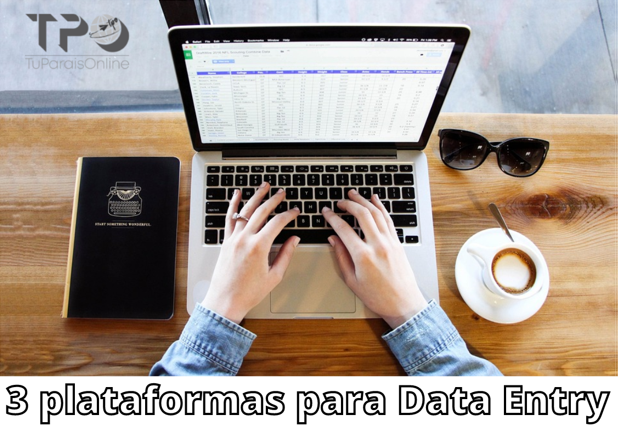 3 plataformas data entry - 🛠 4 Formas de Ganar Dinero Online Sin Experiencia en 2023