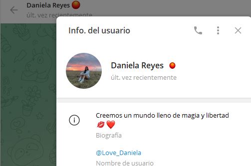 daniela reyes - Listado de CANALES EN TELEGRAM de INVERSIÓN ESTAFA 2023