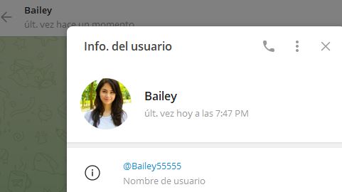 Bailey - Listado de canales de Telegram de Ganar Dinero ESTAFA