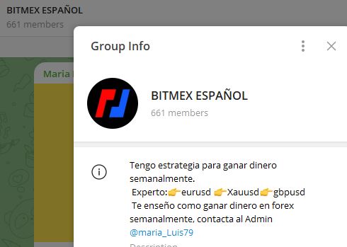 bitmex espanol - Listado de CANALES EN TELEGRAM de INVERSIÓN ESTAFA 2023
