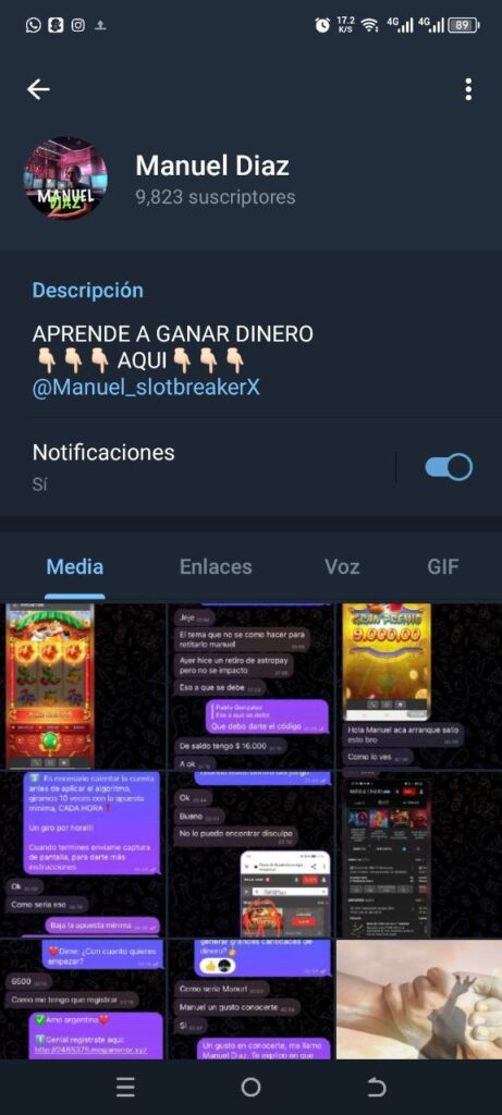 Manuel Diaz 461x1024 - Listado de Canales en Telegram sobre Algoritmos de Casino online ESTAFA