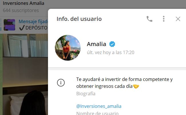 Amalia - Listado de CANALES EN TELEGRAM de INVERSIÓN ESTAFA 2023