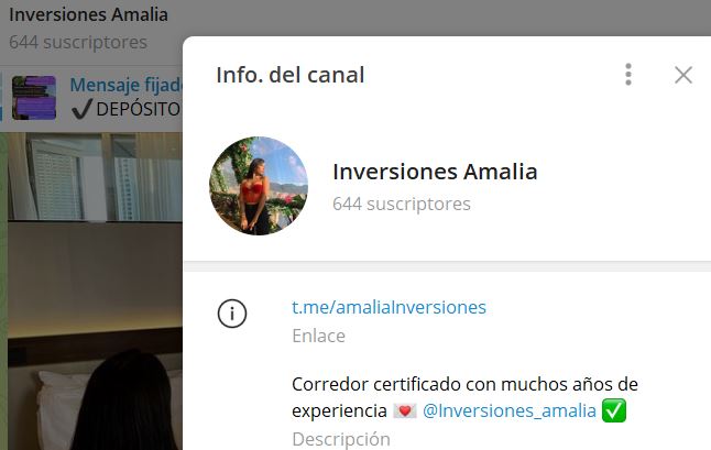 Inversiones Amalia - Listado de CANALES EN TELEGRAM de INVERSIÓN ESTAFA 2023