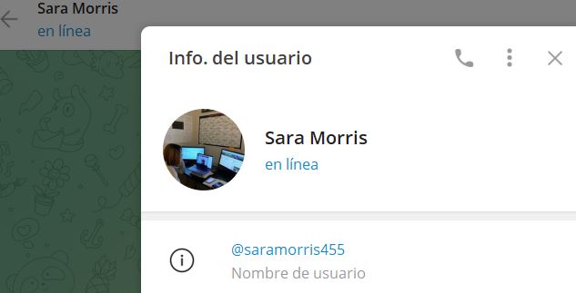 Sara Morris - Listado de CANALES EN TELEGRAM de INVERSIÓN ESTAFA 2023