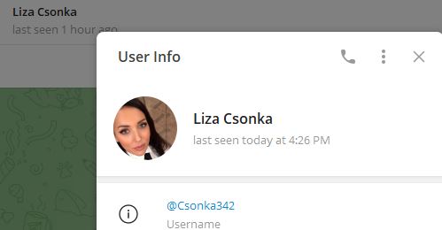 Liza Csonka - Listado de canales de Telegram de Ganar Dinero ESTAFA