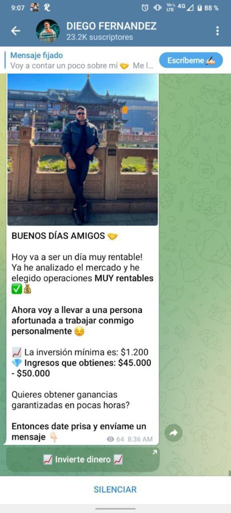 DIEGO FERNANDEZ 461x1024 - Listado de CANALES EN TELEGRAM de INVERSIÓN ESTAFA 2023