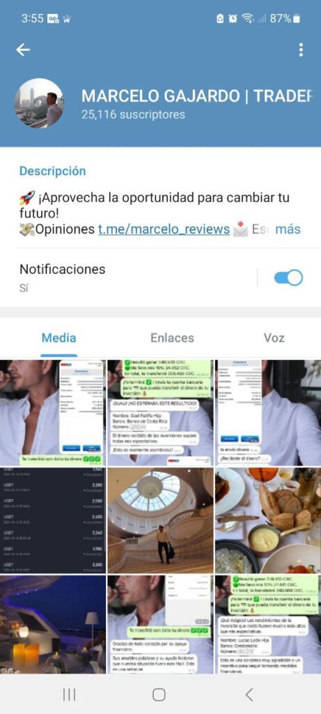 MARCELO GAJARDO TRADER 461x1024 - Listado de CANALES EN TELEGRAM de INVERSIÓN ESTAFA 2023