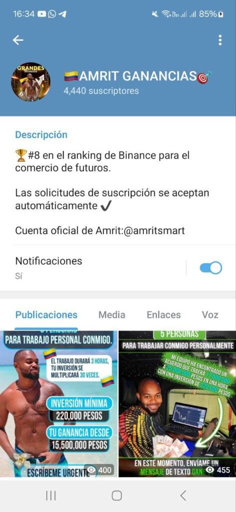 AMRIT GANANCIAS 473x1024 - Listado de CANALES EN TELEGRAM de INVERSIÓN ESTAFA 2023