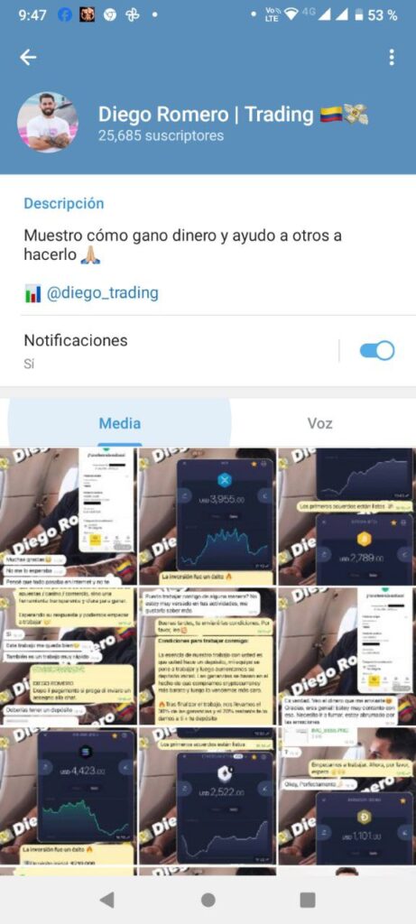 Diego Rometo Trading 461x1024 - Listado de CANALES EN TELEGRAM de INVERSIÓN ESTAFA 2023