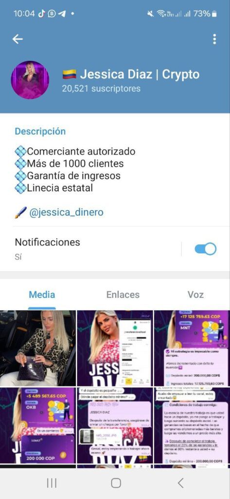 jessica diaz crypto 473x1024 - Listado de CANALES EN TELEGRAM de INVERSIÓN ESTAFA 2023