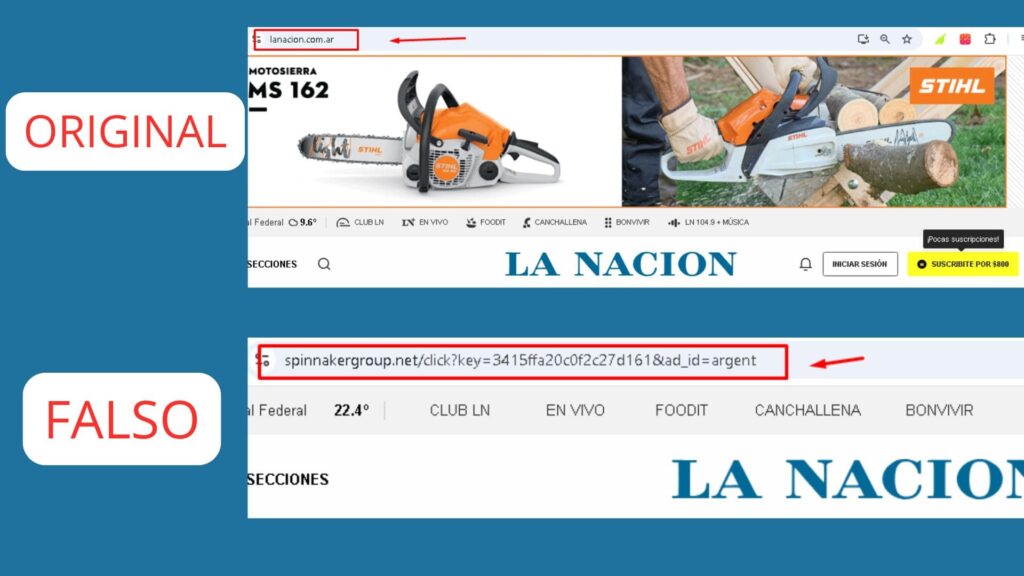 dominio falso soledad pastorutti 2 1024x576 - &iquest;Estafa con Soledad Pastorutti borracha?