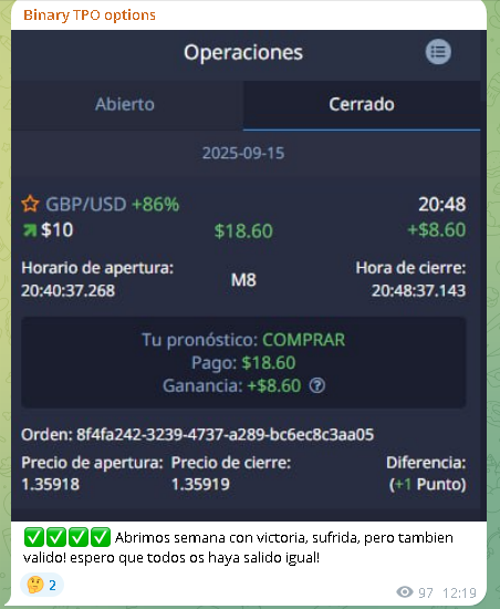 binary tpo funcionamiento 2 1 - Binary TPO: Canal de Telegram de opciones binarias